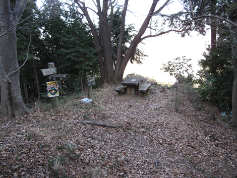 20160128hike (387)